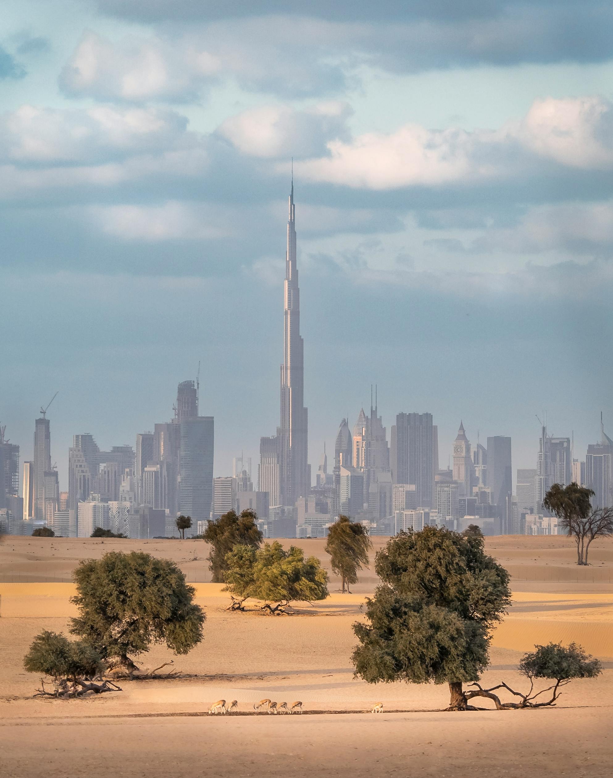 الإمارات العربية المتحدة من رمال الصحراء إلى آفاق المستقبل