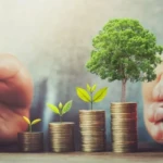الاستثمار الأخضر 2026 كيف تحولت ‘الاستدامة’ إلى المحرك الأول لأسعار العقارات في المنطقة؟