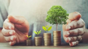 الاستثمار الأخضر 2026 كيف تحولت ‘الاستدامة’ إلى المحرك الأول لأسعار العقارات في المنطقة؟