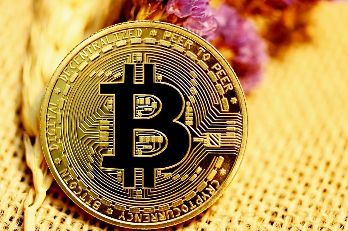 crypto 8203