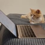 أخبار من ACCESS Newswire على TradingView