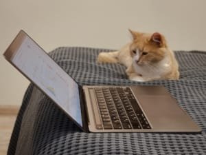 أخبار من ACCESS Newswire على TradingView