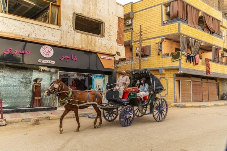 تحديث كبير من شركة بيغ تري