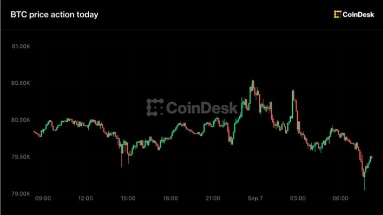 بيتكوين تحافظ على مستوى 79,000 دولار وزيادة ملحوظة في زكاش