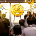 البنك الرقمي أنكوراج يتيح الوصول المؤسسي إلى عملة fUSD المستقرة